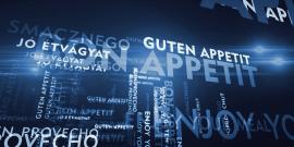 multilingual drupal website