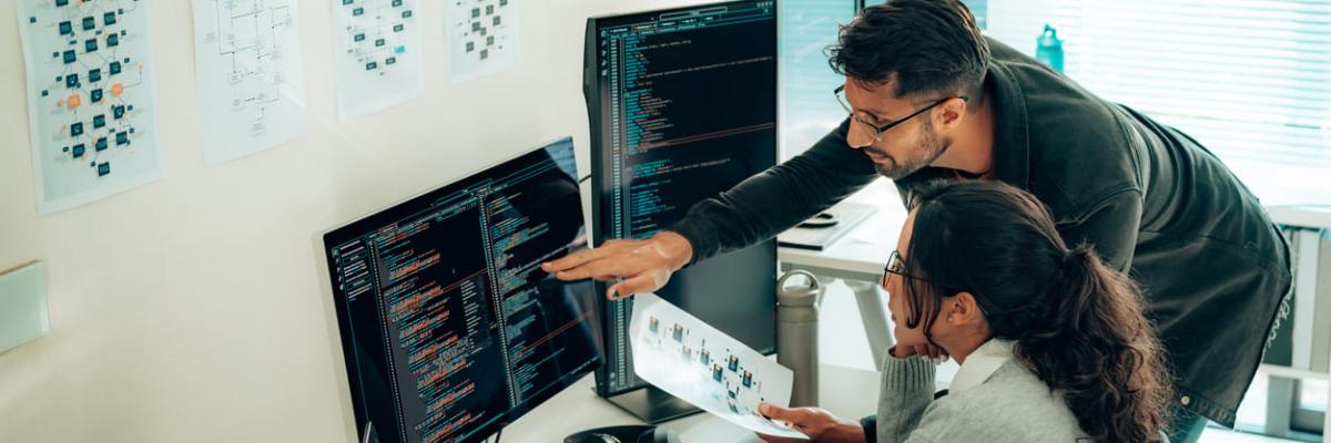 Drupal consultant vs. developer